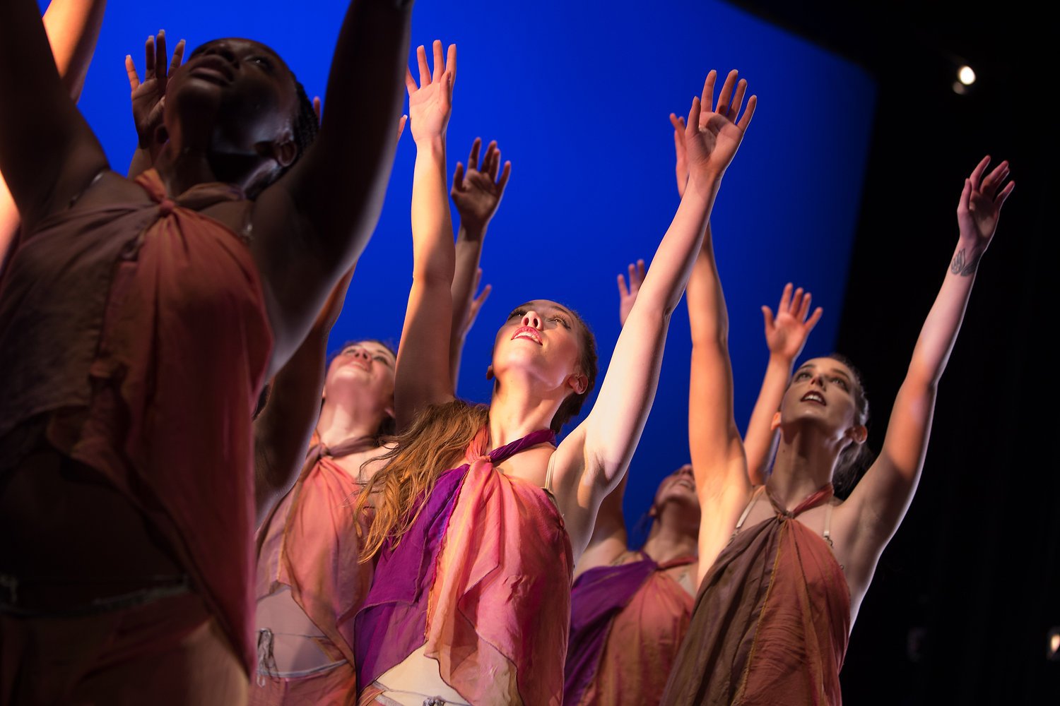 Diversity of Dance